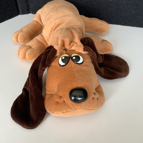 Animal Beagle Pound Dog Queen Elizabeth Pocket Beagle Lemon And